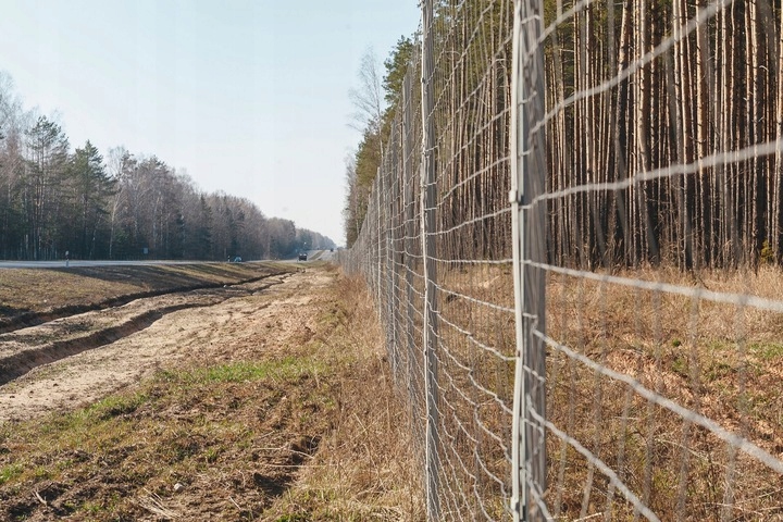 SIATKA LEŚNA ogrodzeniowa 100cm 8/15 L - ROLKA 50m - GRUBY DRUT OCYNKOWANA