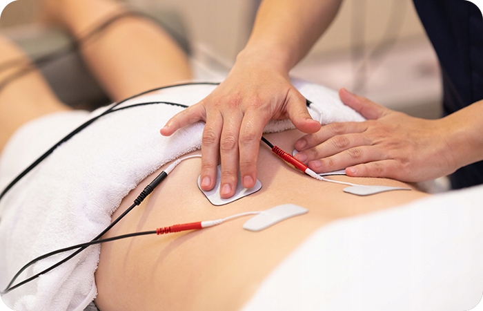 Elektrostymulator Mięśni i Nerwów TENS EMS 60 prog