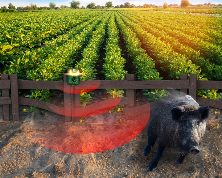 ULTRADŹWIĘKOWY ODSTRASZACZ PSÓW KOTÓW KUN LISÓW DZIKÓW SAREN JELENI NO PEST