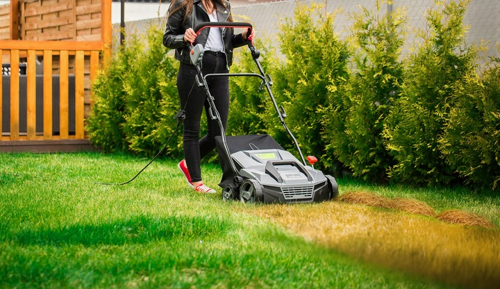AERATOR WERTYKULATOR ELEKTRYCZNY LEHMANN DO TRAWY REGULACJA Z KOSZEM 2600W