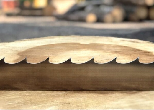 Brzeszczot Wood-Mizer StartCUT do traków taśmowych