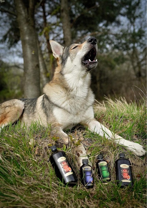 VITAR Veterinae Olej z Ostropestu 1000 ml -bogate źródło witaminy E+Omega 3