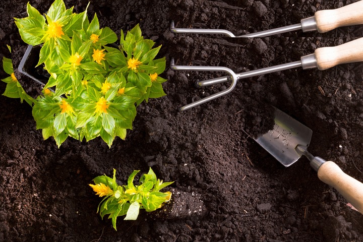 Obornik Kurzy Granulowany Optima 10l Naturalny EKO Nawóz Biovita