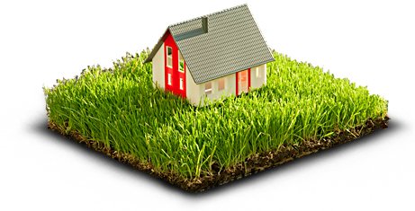 Skuteczna SIATKA NA KRETY 1,5x100m 150m2 10x10