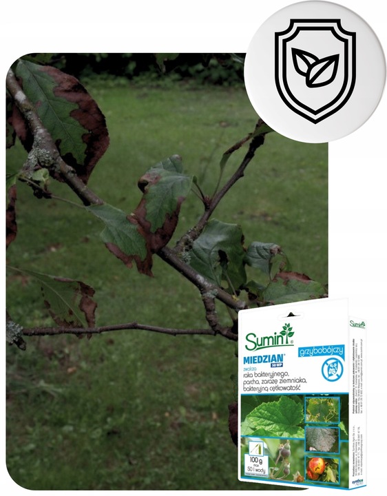 Oprysk Preparat Środek Owadobójczy + Grzybobójczy Miedzian+Mospilan ZESTAW