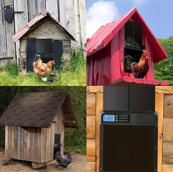 AUTOMATYCZNE DRZWI DO KURNIKA OTWIERANIE Z TIMEREM PROGRAMATOR CZUJNIK