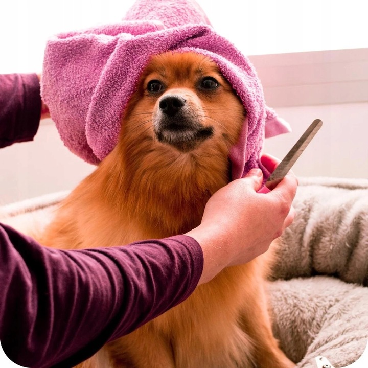 MASZYNKA DO STRZYŻENIA PSÓW PSA KOTA ZWIERZĄT ZESTAW CICHA PROFESJONALNA