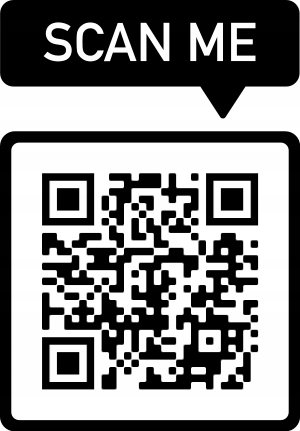 Zest. 4xDYSK SZCZOTKA+NASADKA do czyszczenia piast