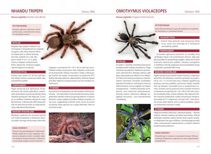 Atlas Pająków Książka O Pająkach Hodowlanych Encyklopiedia P. Malgrab SBM