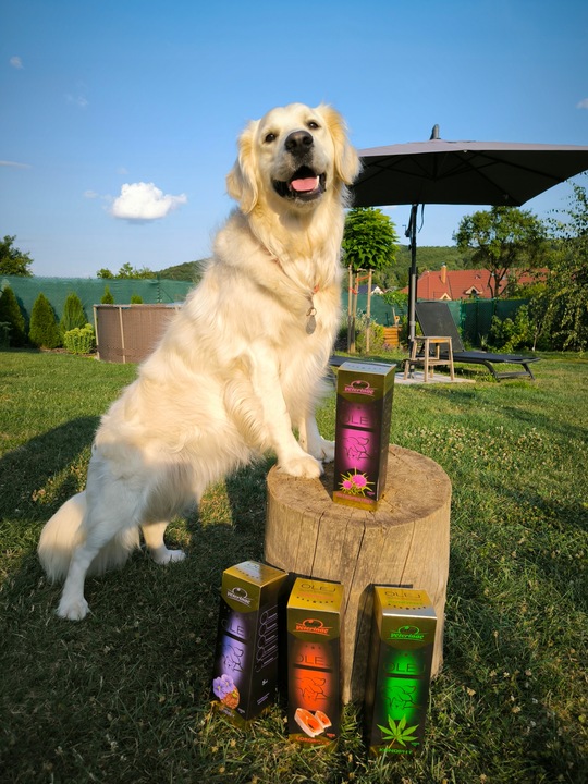 VITAR Veterinae Olej Lniany 500 ml - lśniąca sierść + doskonałe źródło