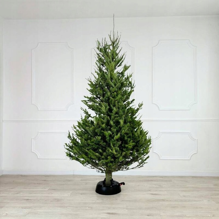 Stojak choinkowy do 3m antracyt Kamai