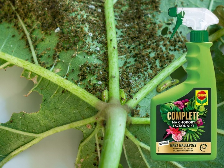 COMPO COMPLETE 2w1 NA CHOROBY I SZKODNIKI MSZYCE PRZĘDZIORKI WEŁNOWCE PLEŚŃ