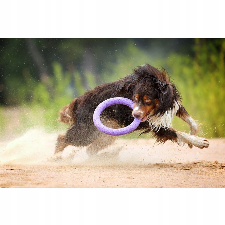 Szarpak dla psa PULLER Standard 28 cm - Zabawka 2 ringi dla dużych ras psów