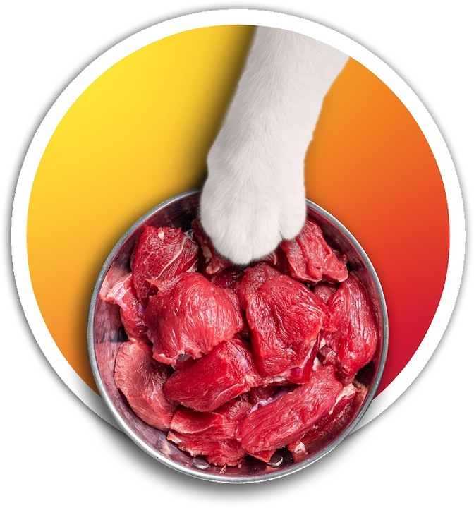 Petstory karma mokra dla kotów mix smaków 70% MIĘSA zestaw 40x100g