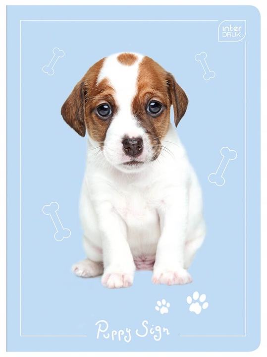 4 X ZESZYT A5, 32 KARTKI, KRATKA Z MARGINESEM, SŁODKIE KOTKI I PIESKI