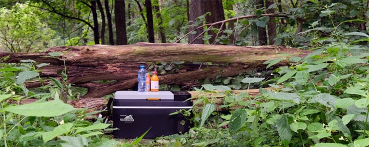 30L lodówka zamrażarka -20°C 12V/24V|230V bluetooth samochodowa sprężarkowa