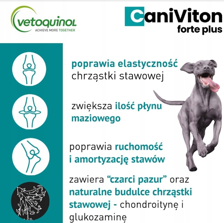 Caniviton Forte Plus 90 tab.