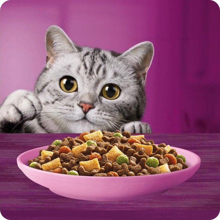 SUCHA KARMA WHISKAS JUNIOR Z PYSZNYM KURCZAKIEM 14KG