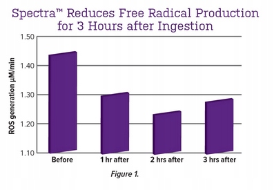 Aliness Premium Vitamin Complex 23 WITAMINY I MINERAŁY DLA MĘŻCZYZN 120t