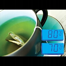 Czajnik Elektryczny Płytowy z Regulacją Temperatury 1,7L LCD Russell Hobbs