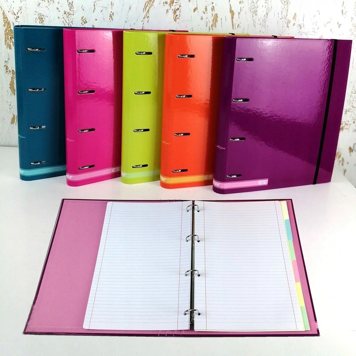 Segregator A4 gumka wkład kartki przekładki linia