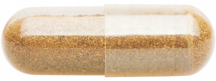 3 x GRINDAY SHAPE UP | WSPARCIE ODCHUDZANIA | HAMOWANIE APETYTU | ROŚLINNY