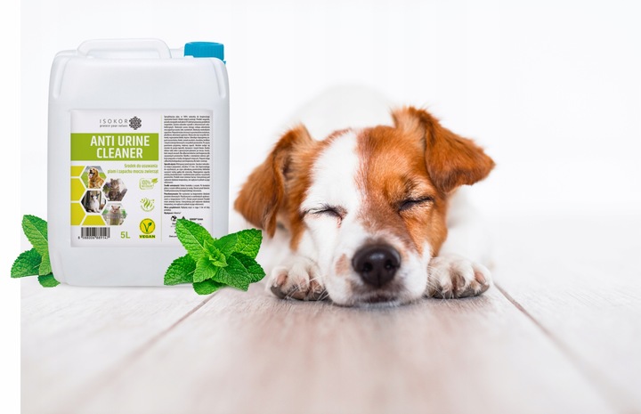 NEUTRALIZATOR POCHŁANIACZ ZAPACHÓW MOCZU PSA 1L ISOKOR ANTI URINE NATURALNY