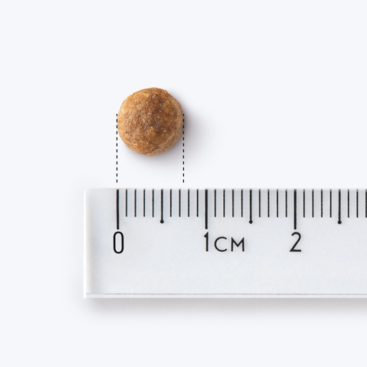 John Dog Good Form 3kg Sucha Karma Dla Szczeniąt Cielęcina Z Jagnięciną