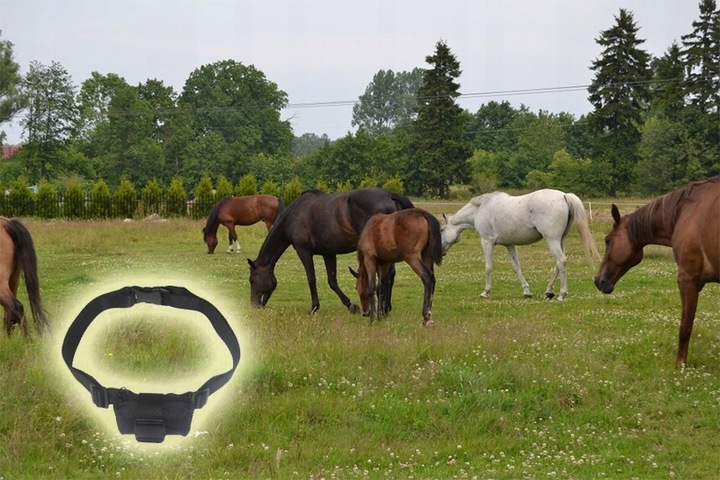 LOKALIZATOR GPS BYDŁA ZWIERZĄT ŚLEDZENIE PODSŁUCH