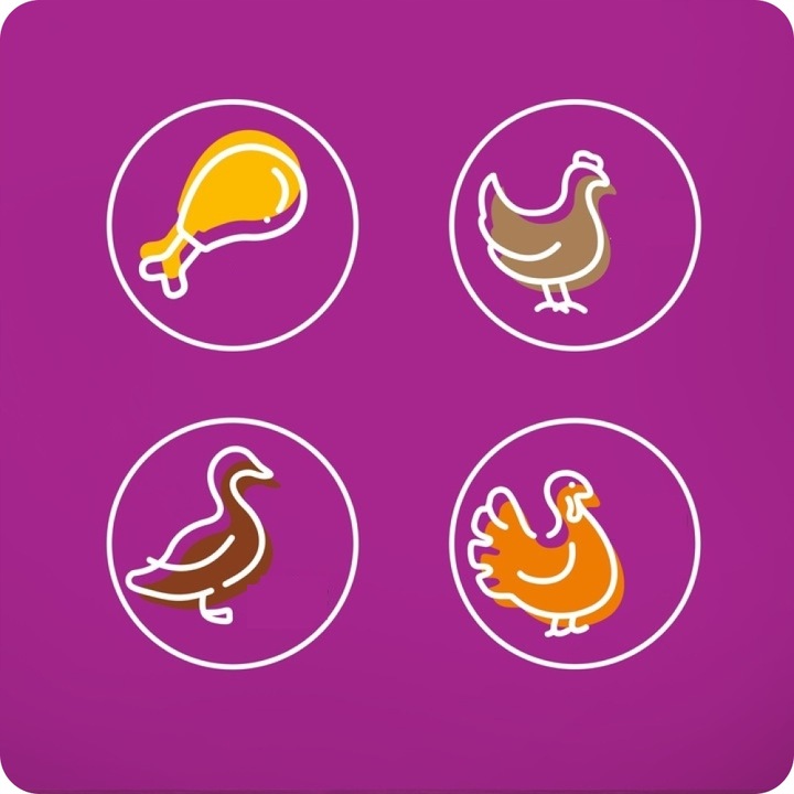 MOKRA KARMA DLA KOTA WHISKAS DROBIOWE SMAKI W GALARETCE 80x85G