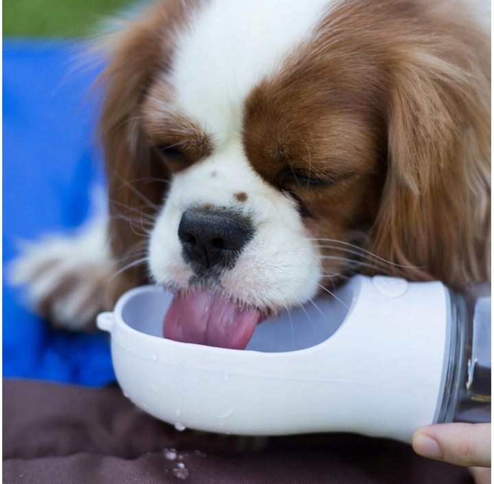 BUTELKA NA WODĘ DLA PSA BIDON POIDŁO MISKA 0,5L PRZENOŚNA SPACER TURYSTYCZN