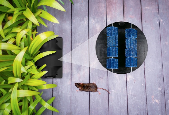 ZESTAW STACJA DERATYZACYJNA NA TRUTKĘ NA MYSZY x5