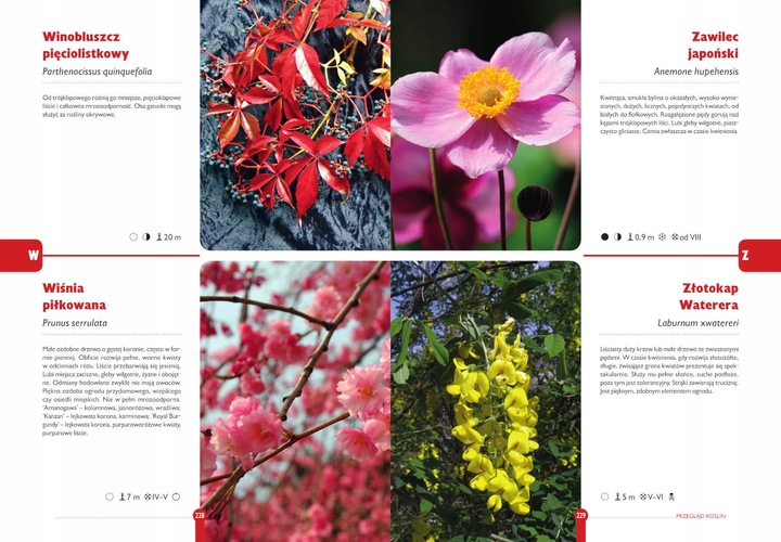 ROK W OGRODZIE Joanna Mikołajczyk OGRÓD I UPRAWA ROŚLIN ATLAS TWARDA