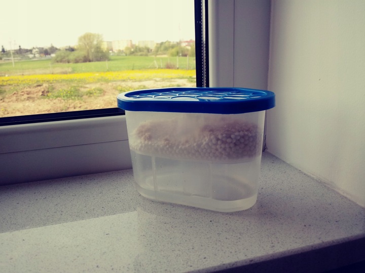 Pochłaniacz wilgoci, osuszacz stojący , zestaw 7 sztuk