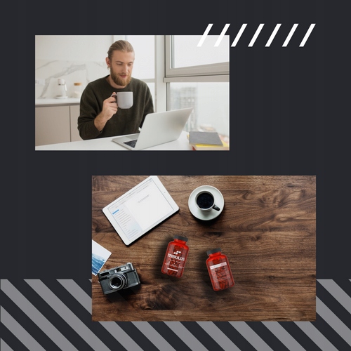 TRIBULUS TESTOSTERON TERRESTRIS BUZDYGANEK TESTO LIBIDO 100 MUSCLE POWER