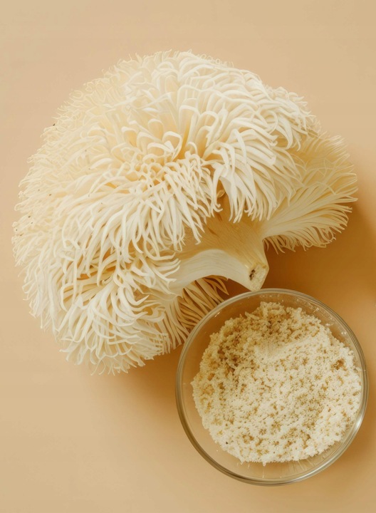 PROTON LABS Lion's Mane 555 mg 90 kaps Soplówka Jeżowata DER 10:1 50% 30%