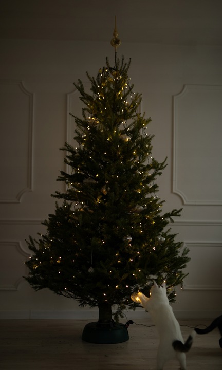 Stojak Choinkowy Zielony Kamai SELECT 3.5