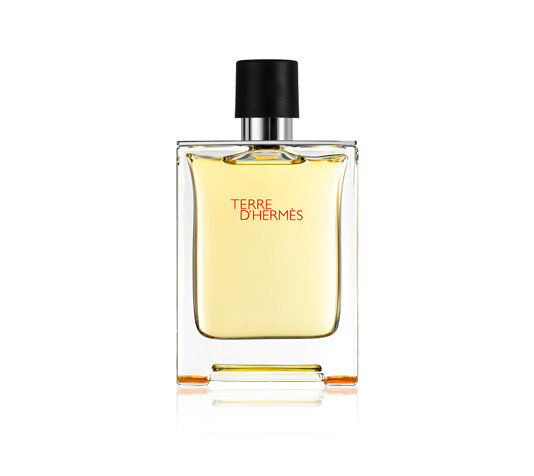 Hermès Terre D'Hermes 100ml woda toaletowa mężczyzna EDT