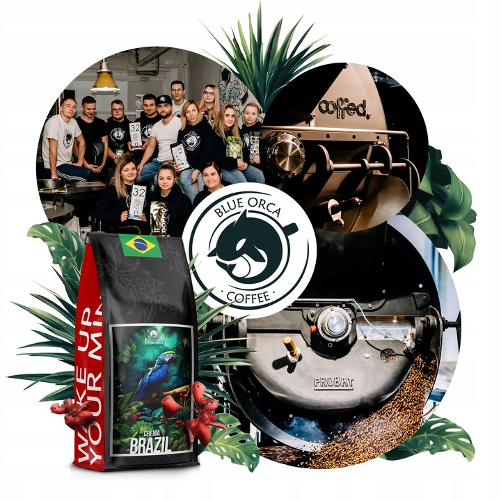 Kawa Ziarnista BRAZYLIA CREMA -ŚWIEŻO PALONA 1KG- Palarnia Blue Orca Coffee