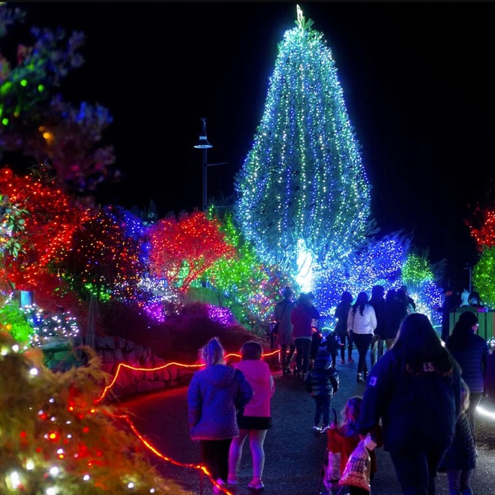 ŚWIATEŁKA LAMPKI LED CHOINKOWE SZNUR ŁAŃCUCH 8 TRYBÓW MULTIKOLOR 30m