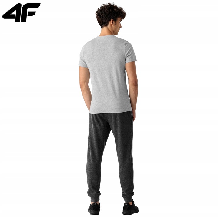 KOSZULKA MĘSKA 4F T-SHIRT KOLEKCJA LIMITOWANA M