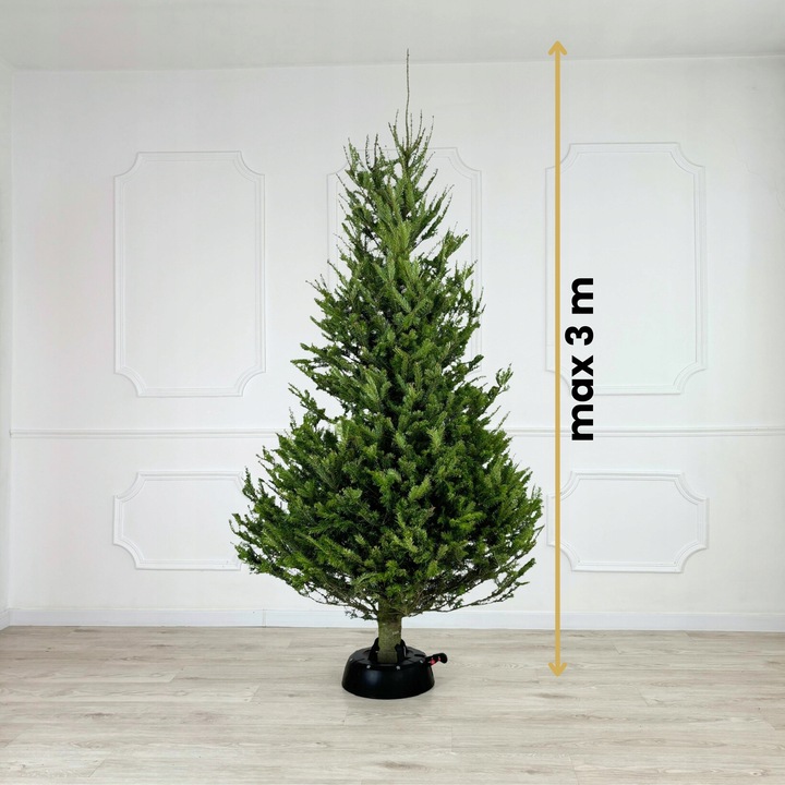 STOJAK POD CHOINKĘ CHOINKOWY STABILNA PODSTAWKA DO ŻYWEJ CHOINKI DO 3 M