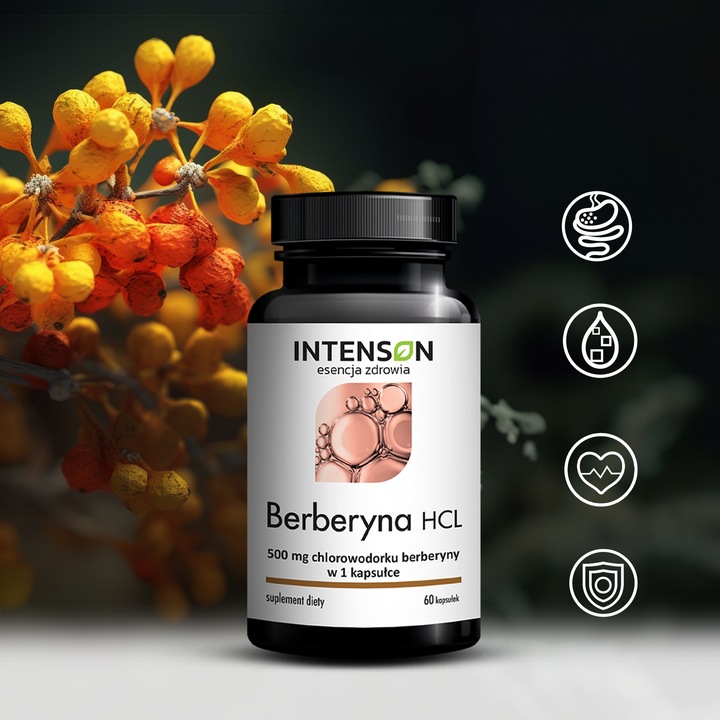 INTENSON BERBERYNA MAX HCL 500mg chlorowodorku odchudzanie 60 kapsułek