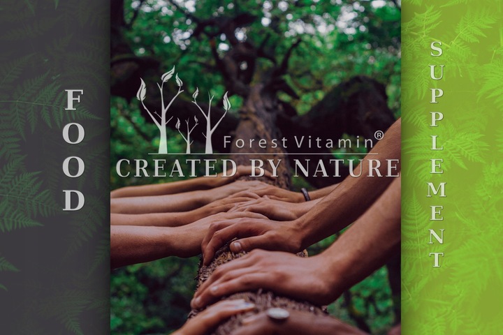 FOREST KWERCETYNA NATURALNY EKSTRAKT 400mg 100 kap