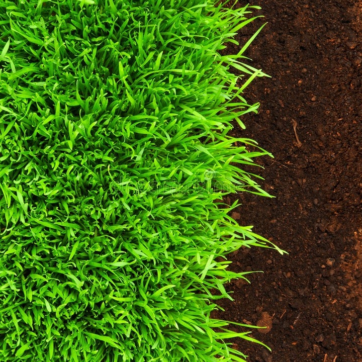 Nawóz Letni BARENBRUG BARFERTILE UNIVERSAL 20kg