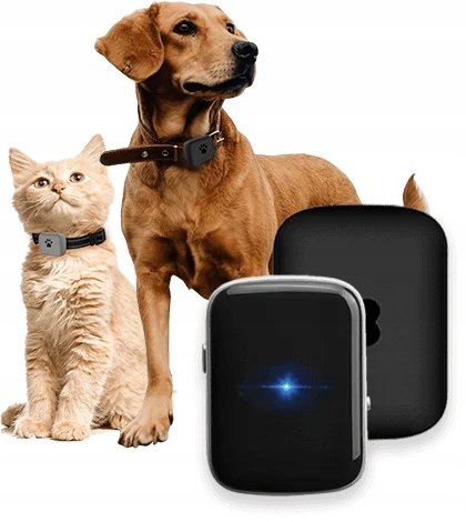 Bezpieczne Zwierzę LOKALIZATOR GPS DLA PSA KOTA APLIKACJA 1 miesiąc