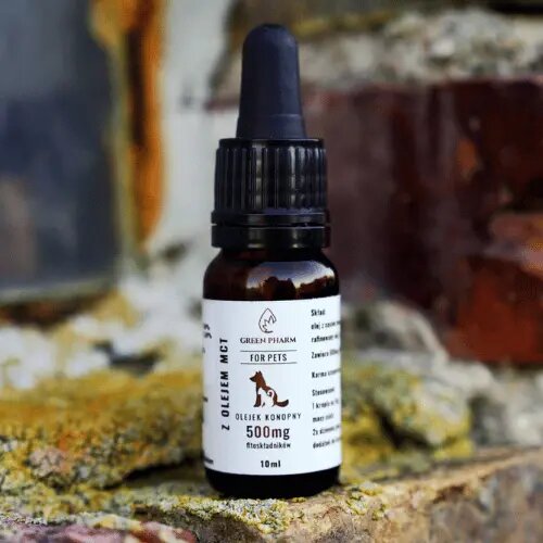 Olejek CBD dla Psa i Kota 5% 500 mg | Weterynaryjny | Bez THC | Bezsmakowy