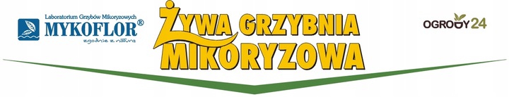 Mikoryza dla DRZEW IGLASTYCH grzybnia