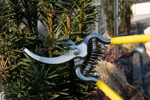 SEKATOR NOŻYCE OGRODOWE DO GAŁĘZI RĘCZNY KRZEWÓW