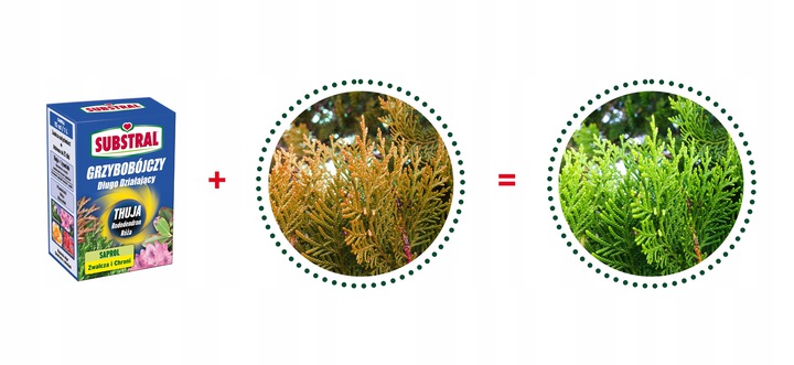 Substral Saprol mączniak, rdza, czarna plam.100ml